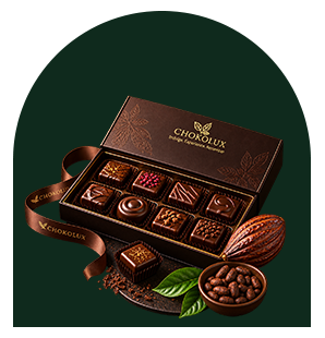 Choko N1 Choko N1